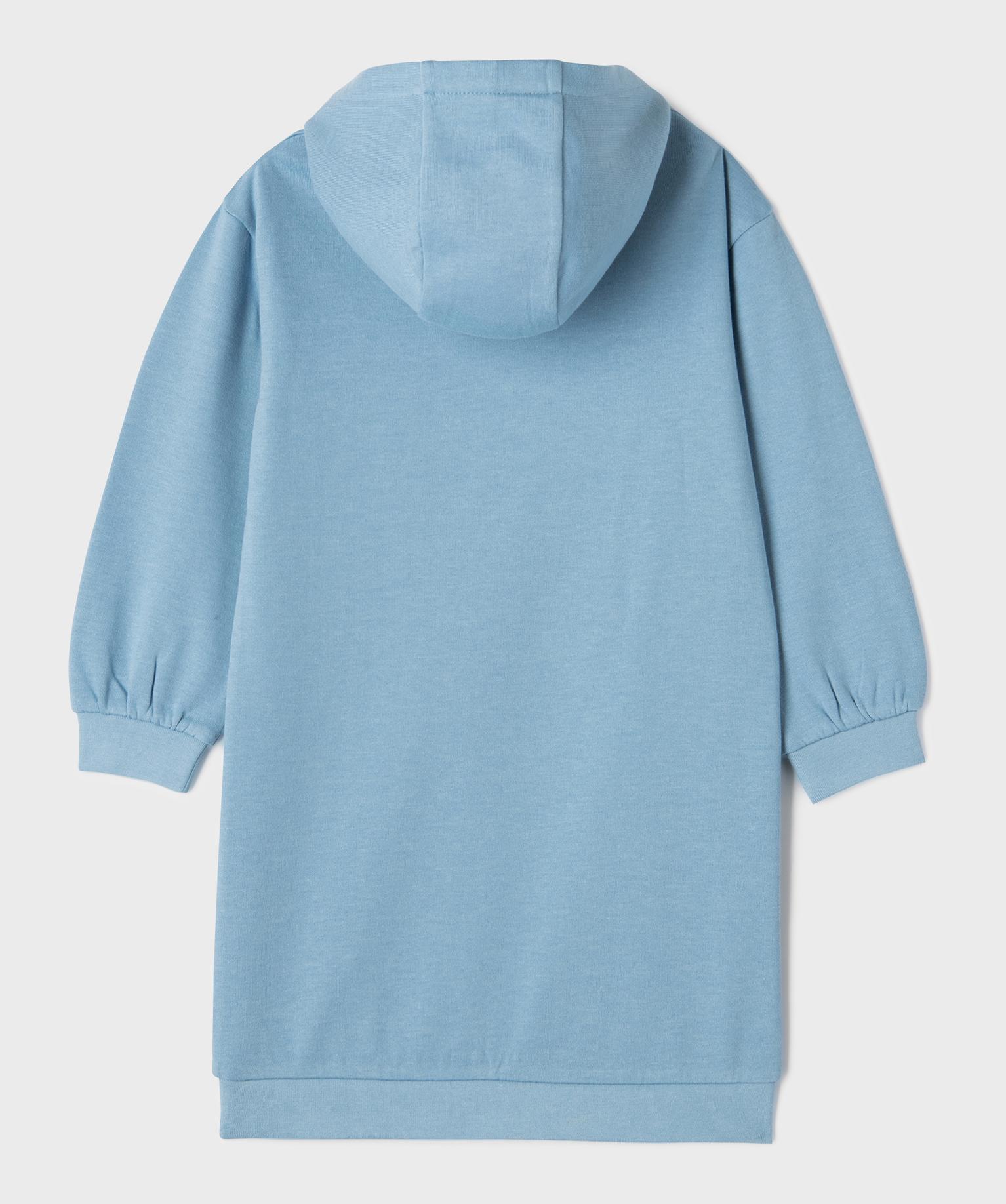 Sweat à Capuche Imprimé Dinosaure Pour Enfants Et Ados - Taille 10-12 Ans, Sans Poche, Confortable Pour Le Sport Et Quotidien