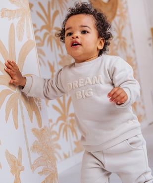 Sweat molletonné avec inscriptions en relief bébé garçon vue4 - GEMO 4G BEBE - GEMO