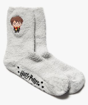Chaussettes d’intérieur enfant à motif – Harry Potter vue1 - HARRY POTTER - GEMO