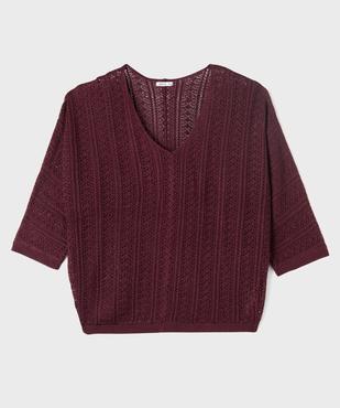 Pull ajouré en maille scintillante femme grande taille vue1 - GEMO (G TAILLE) - GEMO