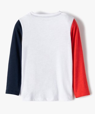 Tee-shirt garçon à manches longues imprimé - Lulu Castagnette vue5 - LULUCASTAGNETTE - GEMO