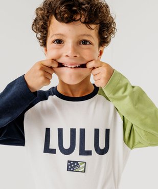 Tee-shirt manches longues raglan dépareillées garçon vue1 - LULUCASTAGNETTE - GEMO