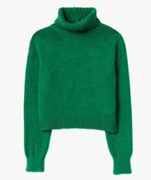 Pull femme à col roulé coupe courte vue4 - GEMO(FEMME PAP) - GEMO
