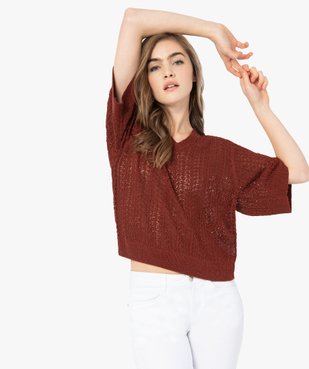 Pull femme en maille ajourée et manches fantaisie vue1 - GEMO(FEMME PAP) - GEMO