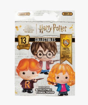 Figurine à collectionner - Harry Potter vue1 - HARRY POTTER - GEMO