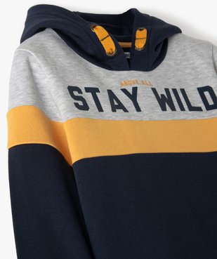 Sweat garçon tricolore à capuche vue2 - GEMO (ENFANT) - GEMO