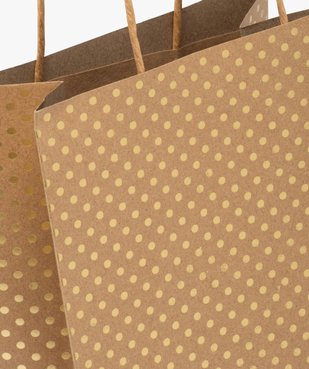 Sac cadeau en papier à pois dorés vue2 - GEMO (ACCESS) - GEMO