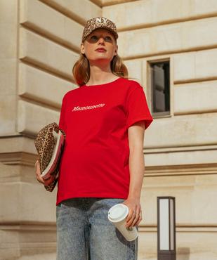 Tee-shirt de grossesse compatible allaitement avec motif  vue5 - GEMO 4G MATERN - GEMO