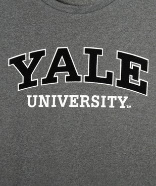 Sweat garçon molletonné inscription velours - Yale University vue2 - YALE - GEMO