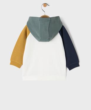 Sweat zippé à capuche  colorblock bébé garçon vue3 - GEMO 4G BEBE - GEMO