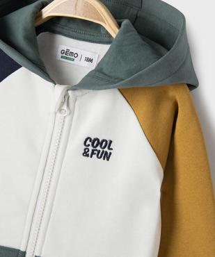 Sweat zippé à capuche  colorblock bébé garçon vue2 - GEMO 4G BEBE - GEMO