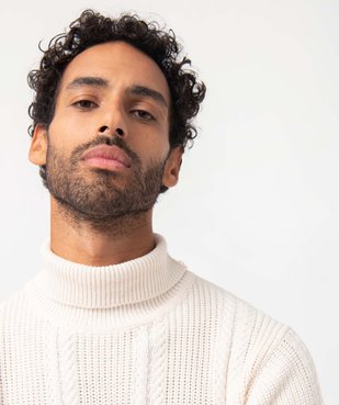 Pull homme en maille torsadée à col roulé vue5 - GEMO (HOMME) - GEMO