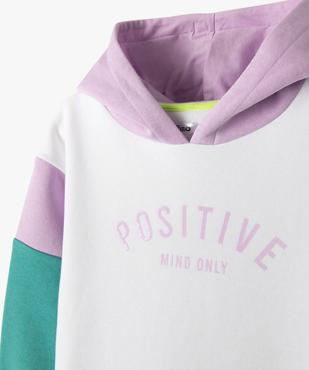 Robe sweat à capuche multicolore fille vue2 - GEMO 4G FILLE - GEMO