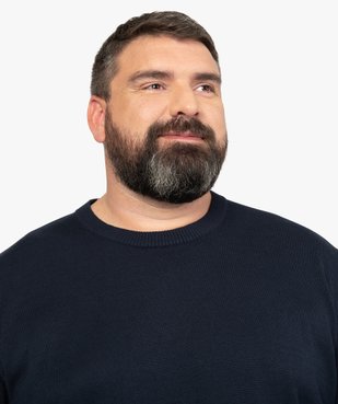 Pull homme en maille fine à col rond vue2 - GEMO (G TAILLE) - GEMO