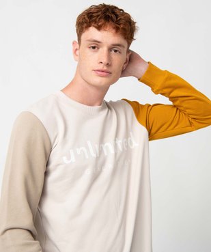 Sweat homme tricolore avec inscription sur le buste vue2 - GEMO (HOMME) - GEMO