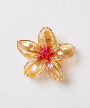 Pince crabe pour les cheveux translucide en forme de fleur femme vue1 - GEMO (ACCESS) - GEMO