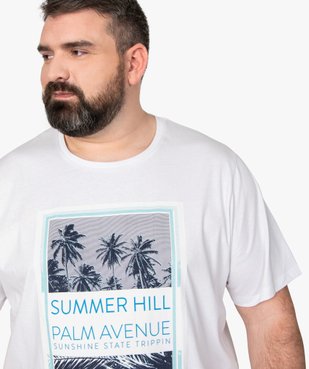 Tee-shirt homme à manches courtes avec motifs palmiers vue2 - GEMO (HOMME) - GEMO