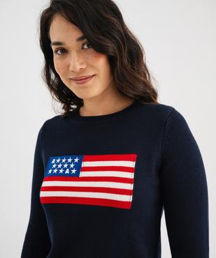 Pull en coton avec drapeau femme - LuluCastagnette vue2 - LULUCASTAGNETTE - GEMO