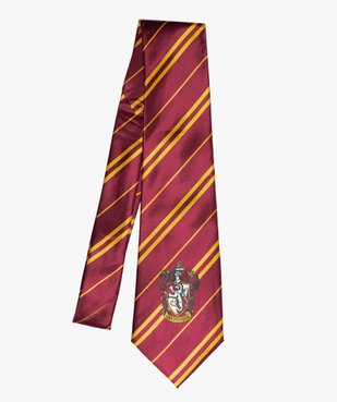 Cravate Gryffondor déguisement enfant - Harry Potter vue1 - UNIVERSAL - GEMO