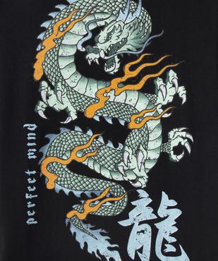 Tee-shirt imprimé 100% coton garçon vue2 - GEMO 4G GARCON - GEMO