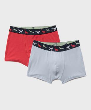 Boxers en coton stretch avec ceinture motif dinosaures garçon (lot de 2) vue1 - GEMO 4G GARCON - GEMO