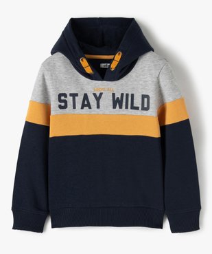 Sweat garçon tricolore à capuche vue1 - GEMO (ENFANT) - GEMO