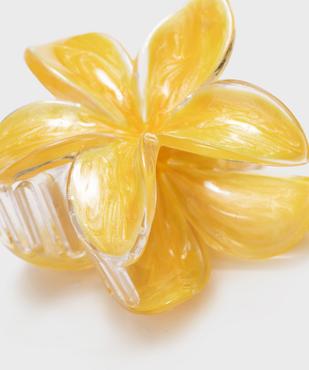 Pince à cheveux crabe en forme de fleur vue2 - GEMO (ACCESS) - GEMO