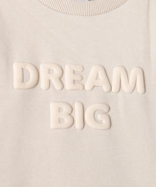 Sweat molletonné avec inscriptions en relief bébé garçon vue2 - GEMO 4G BEBE - GEMO