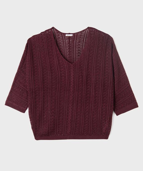 Pull ajouré en maille scintillante femme grande taille vue1 - GEMO (G TAILLE) - GEMO