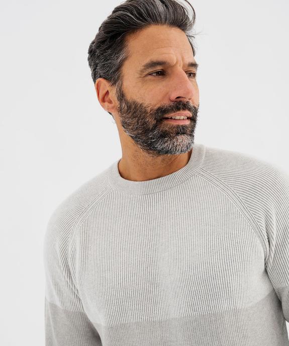 Pull en maille côtelée bicolore homme vue6 - GEMO 4G HOMME - GEMO