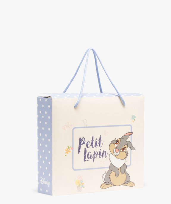 Boite cadeau enfant avec motif lapin Panpan- Disney vue1 - DISNEY - GEMO