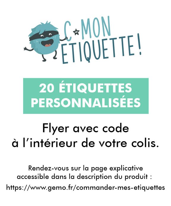 Flyer pokemon - article non vendu vue1 - SANS MARQUE - GEMO