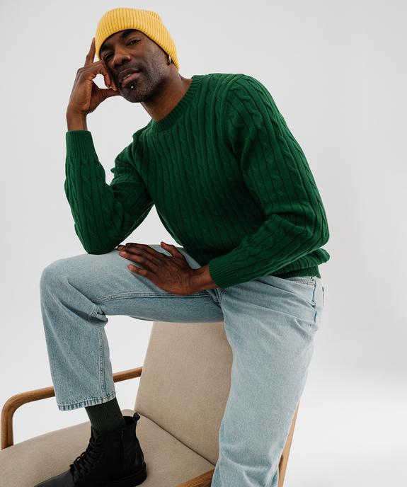 Pull col rond en coton à torsades homme vue2 - GEMO (HOMME) - GEMO