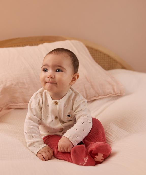 Gilet brassière en coton fin ajouré bébé - LuluCastagnette vue4 - LULU CASTAGNETTE G4G D - GEMO