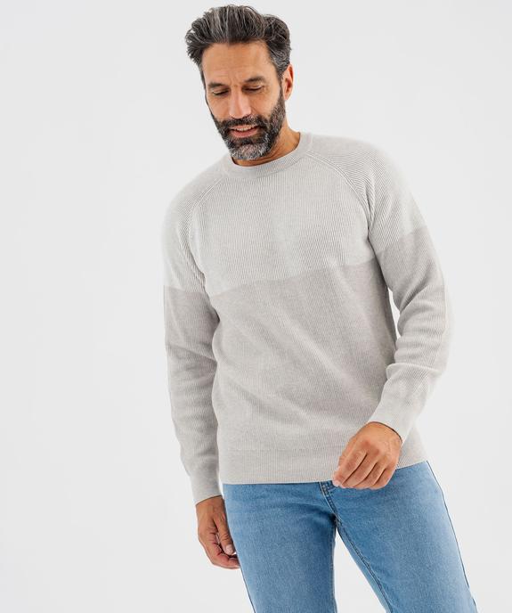 Pull en maille côtelée bicolore homme vue5 - GEMO 4G HOMME - GEMO