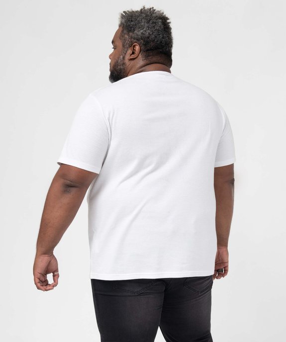 Tee-shirt homme grande taille à manches courtes à rayures texturées vue3 - GEMO (G TAILLE) - GEMO