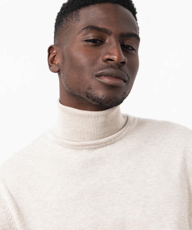 Pull à col roulé en maille fine homme beige clair | GEMO