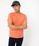 ORANGE STANDARD