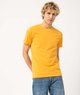 JAUNE STANDARD