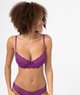 VIOLET STANDARD
