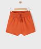ORANGE STANDARD