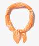 ORANGE STANDARD