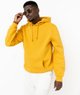 JAUNE STANDARD