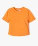 ORANGE STANDARD