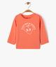 ORANGE STANDARD
