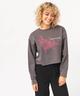 GRIS STANDARD