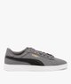 GRIS STANDARD