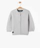 GRIS STANDARD