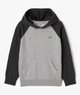 GRIS STANDARD
