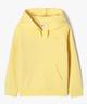 JAUNE STANDARD